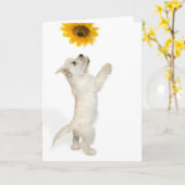 Westie und Sonnenblume Karte (Gelbe Blume)