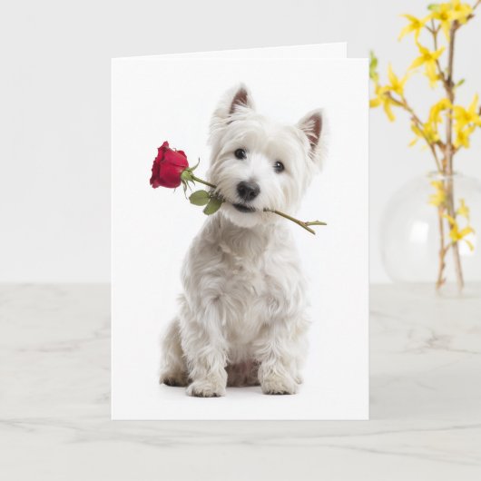 Westie Valentine – Bright Love & Devotion Karte (Gelbe Blume)