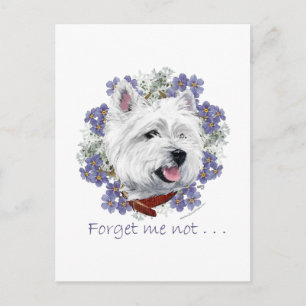 Westie Vergissmeinnicht Postkarte