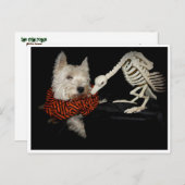 Westie Vulture Skeleton Halloween Postkarte (Vorne/Hinten)