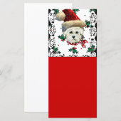 Westie Weihnachtsmann (Vorne/Hinten)