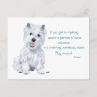 Westie Weisheit - Einfluss?