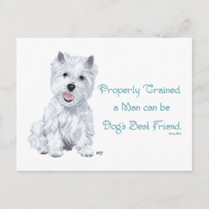 Westie-Weisheiten Postkarte