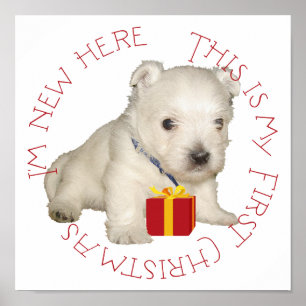 Westie-Welpe erstes Weihnachten Poster