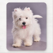 Westie Welpe Mousepad (Vorne)
