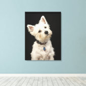 Westie | West Highland Terrier Leinwanddruck (Insitu (Holzboden))