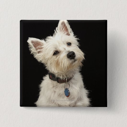 Westie (West Highland Terrier) mit Kragen Button (Vorderseite)