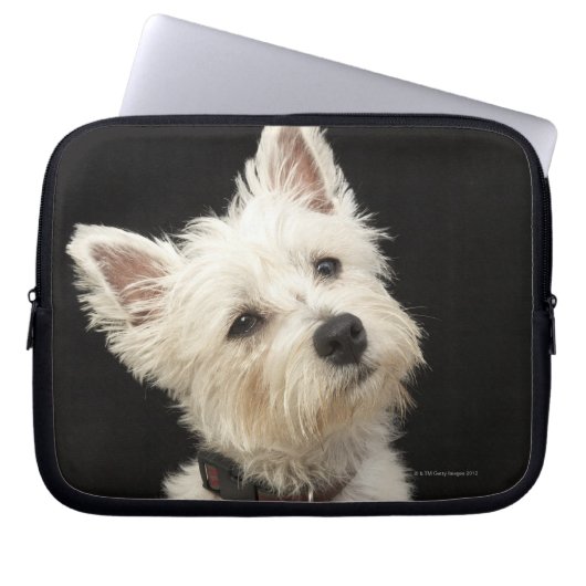 Westie (West Highland Terrier) mit Kragen Laptopschutzhülle (Vorderseite)