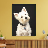Westie (West Highland Terrier) mit Kragen Leinwanddruck (Insitu (Wohnzimmer))