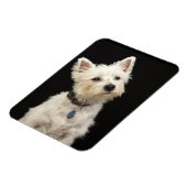 Westie (West Highland Terrier) mit Kragen Magnet (Linke Seite)