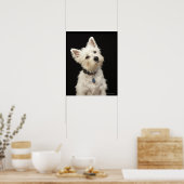 Westie (West Highland Terrier) mit Kragen Poster (Küche)