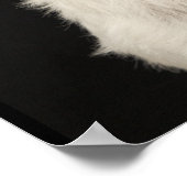 Westie (West Highland Terrier) mit Kragen Poster (Ecke)