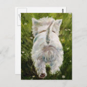 Westie West Highland Terrier Postcard Postkarte (Vorne/Hinten)