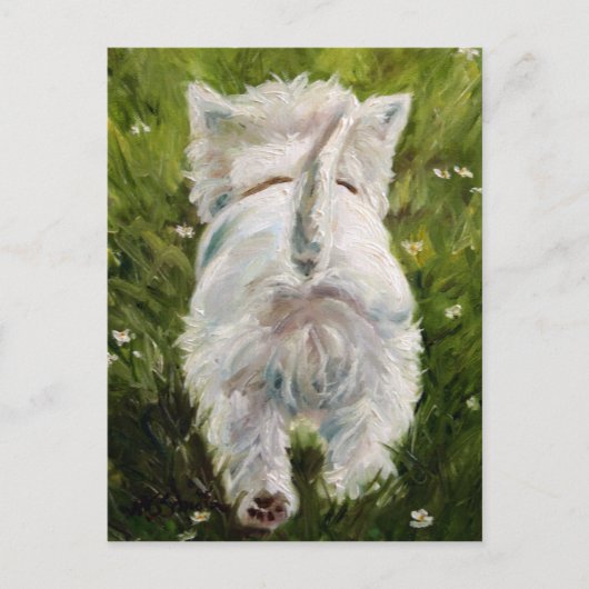 Westie West Highland Terrier Postcard Postkarte (Vorderseite)