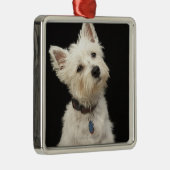 Westie | Westhochland Terrier Silbernes Ornament (Rechts)