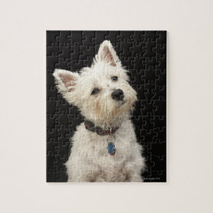 Westie (Westhochlandterrier) mit Kragen Puzzle