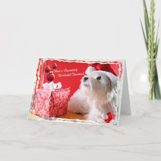 Westie wunderbares Weihnachten Wishes4 fertigen es (Vorderseite)