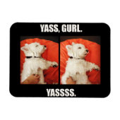 Westie Yass Gurl Funny Magnet (Horizontal)