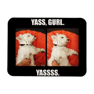 Westie Yass Gurl lustig Magnet