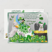 Westie You Got Mail - St Patrick's Day Version Postkarte (Vorne/Hinten)