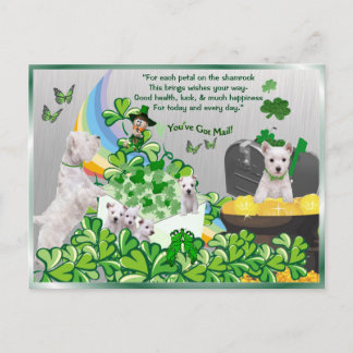 Westie You Got Mail - St Patrick's Day Version Postkarte
