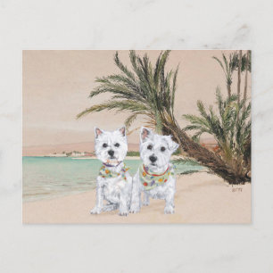 Westies an einem Palmenstrand Postkarte