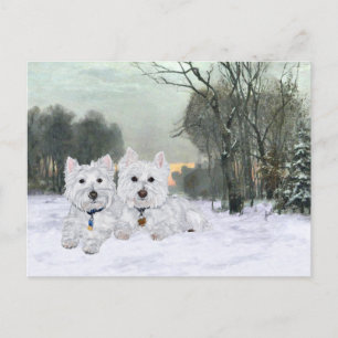 Westies in der Winterzeit Postkarte