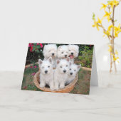 Westies in einem Korb Karte (Gelbe Blume)