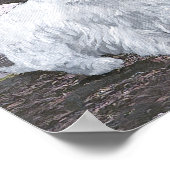 Westies in Schottland Poster (Ecke)