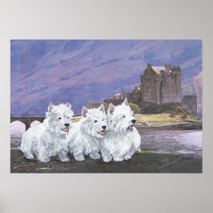 Westies in Schottland Poster