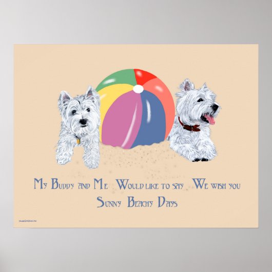 Westies mit einem Beach Ball Poster (Vorne)