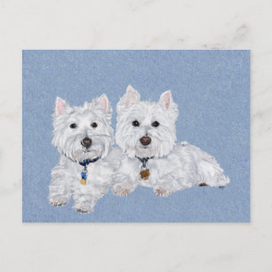 Westies-Postkarte Postkarte