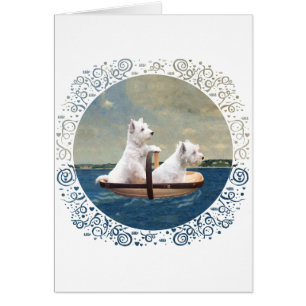 Westies setzen Segel