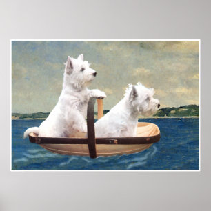 Westies setzen Segel Poster