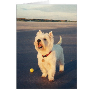 Westies und das Meer