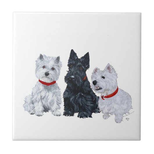 Westies und ein Scottie Together Fliese (Vorderseite)