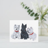 Westies und ein Scottie Together Postkarte (Stehend Vorderseite)