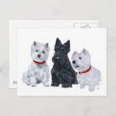 Westies und ein Scottie Together Postkarte (Vorne/Hinten)