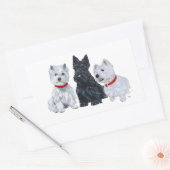 Westies und ein Scottie Together Rechteckiger Aufkleber (Umschlag)