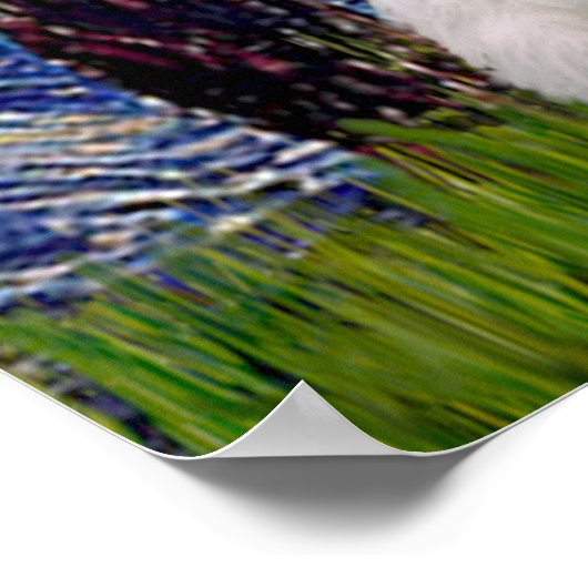 Westies (zwei) - Starry Night Poster (Ecke)