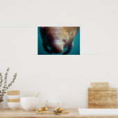 Westindische (Florida) Manatee-Unterwasser Poster (Küche)