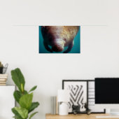 Westindische (Florida) Manatee-Unterwasser Poster (Heimbüro)