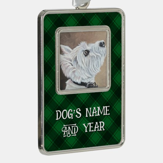 Westioking-Profil B Rahmen-Ornament Silber (Rechts)