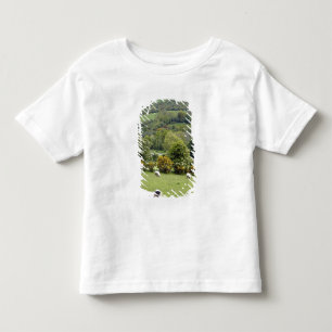 Westirland, Dingle-Halbinsel, breit Kleinkind T-shirt