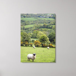 Westirland, Dingle-Halbinsel, breit Leinwanddruck