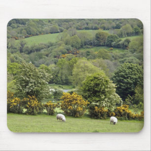 Westirland, Dingle-Halbinsel, breit Mousepad
