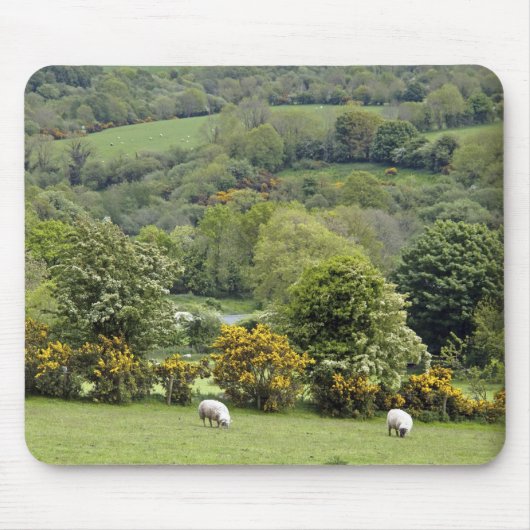 Westirland, Dingle-Halbinsel, breit Mousepad (Vorne)