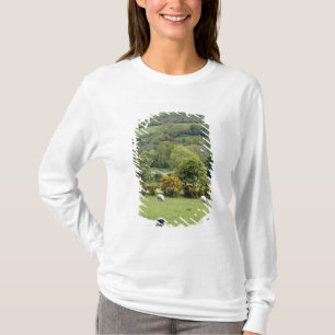 Westirland, Dingle-Halbinsel, breit T-Shirt