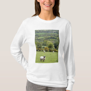 Westirland, Dingle-Halbinsel, breit T-Shirt
