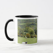 Westirland, Dingle-Halbinsel, breit Tasse (Links)